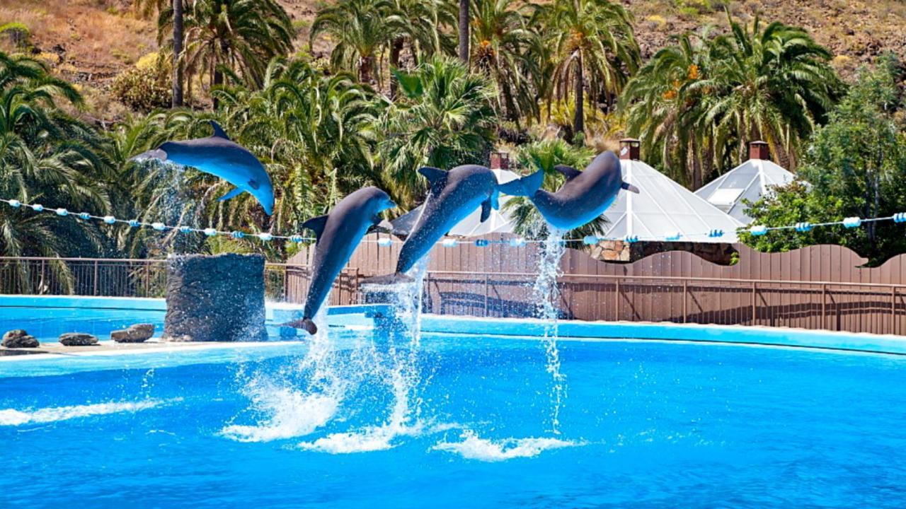 דירות פלאייה דל אינגלז El Nido De Los Angeles מראה חיצוני תמונה